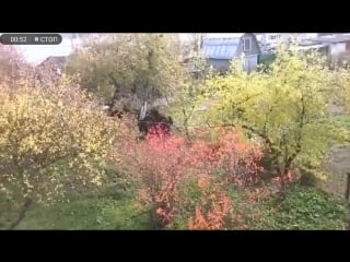 Звони андрею пускай несет ствол