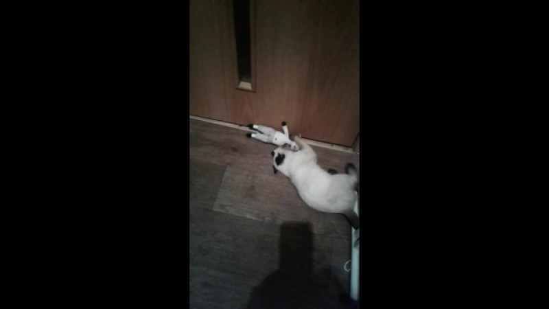 Тося(дочка)