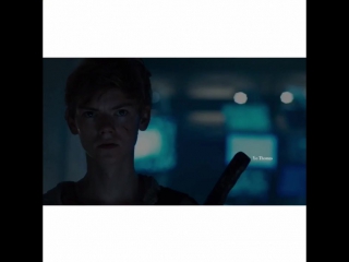 Newt vs jojen reed thomas brodie sangster