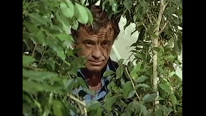 Der profi (auf deutsch) / профессионал (на немецком)