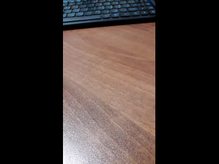 Live нега сени севдим