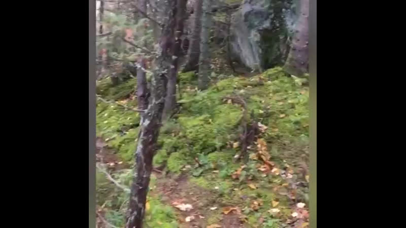 Катаклизмы природы