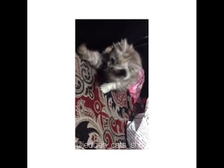 ‏#art #beach #bestoftheday #blue #clouds #cool #do лондон