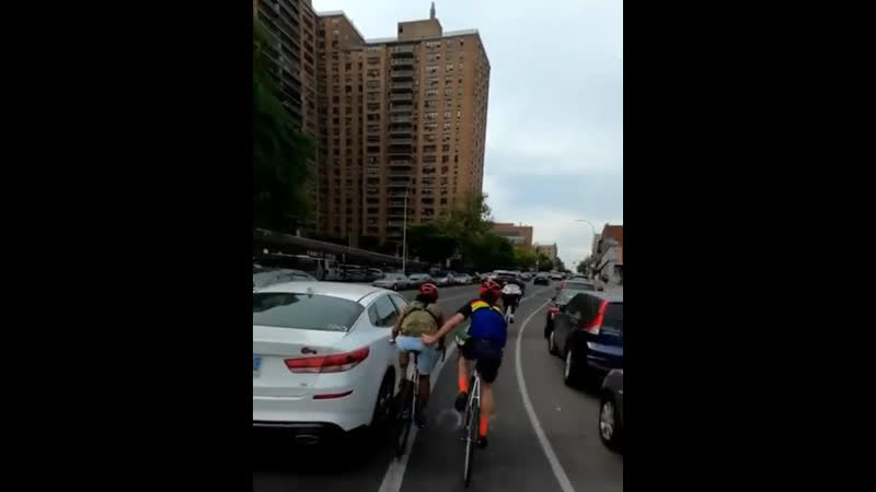 Meeting castrated donkeys