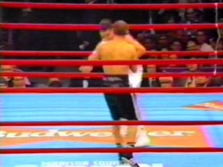 Oscar de la hoya vs jesse james leija (15 12 1995)