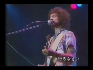 Fleetwood mac 1977 japan