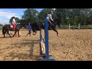 Gracefully beauty продан