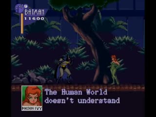 Spolan adventures of batman and robin snes