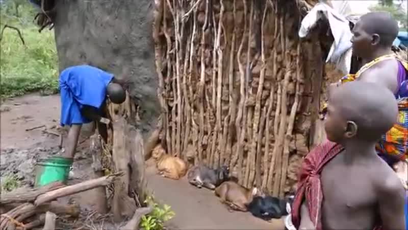 Maasai village tanzania