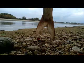 Vid 20201030 164932 mp4