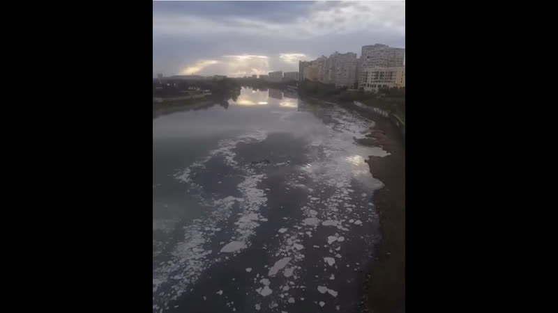 Кубань слив