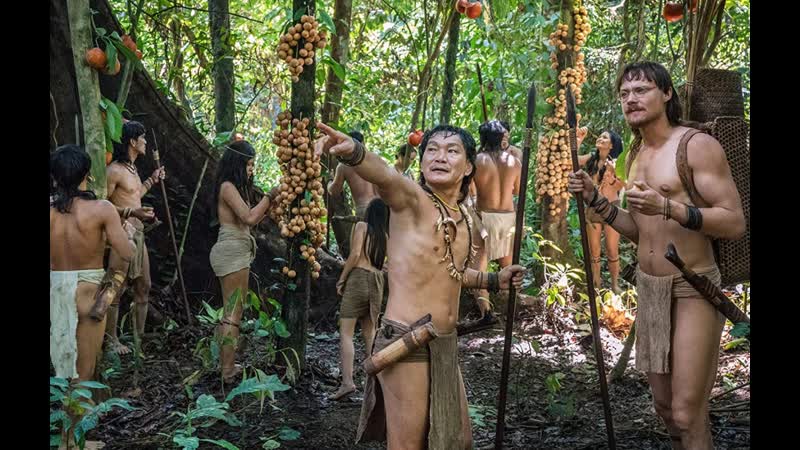 Бруно мансер голос тропического леса / bruno manser die stimme des regenwaldes 2019