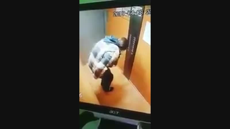 Побырому отложил личинку [рофлы и панчи]