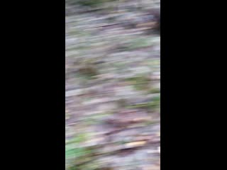 Vid 20201017 083531 mp4