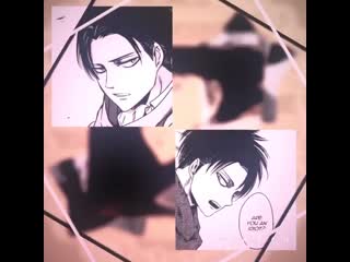 ✘levi akkerman ✘anime vine