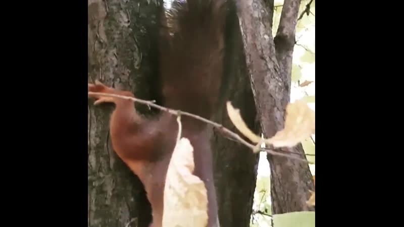 Lnstagram @sofiya tikhomirova