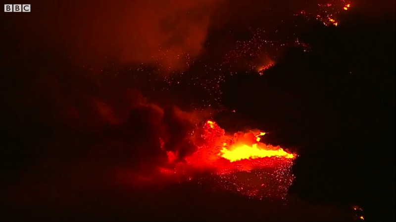 Пожары в калифорнии и спасённый кролик