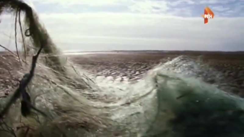 Нло в океане шифроа нло с глубин затонувший корабль пришельцев документальный фильм