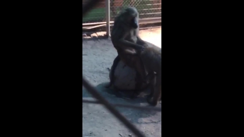 Фильмдердегі секс туралы бейнелер Көйлектегі жұқа брюнетка әйелдің үй порносы