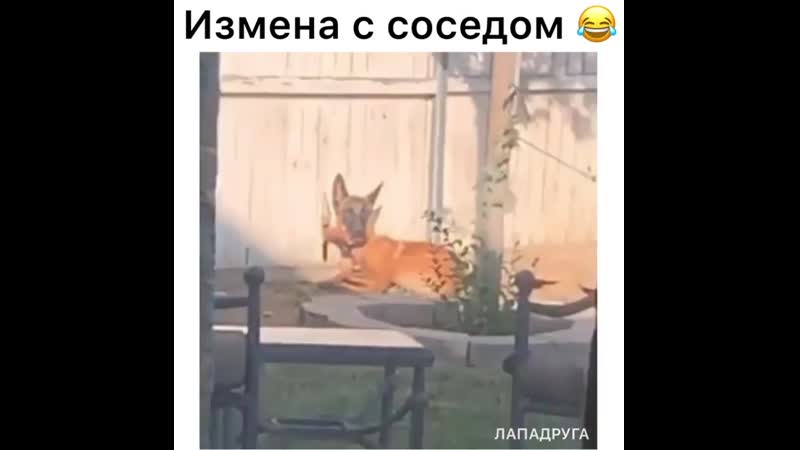 Пойманы с поличным!