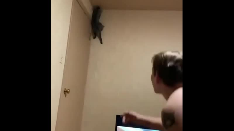 Как хозяин подорвался, чтоб не дай бог дорогое дитятко не упало