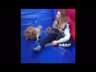 Can't get over how much fun i have with my little bestie! i love hatchi! perrie <3