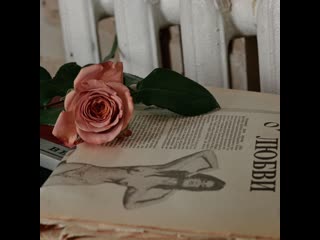 Haze from sky – молодые (snippet)