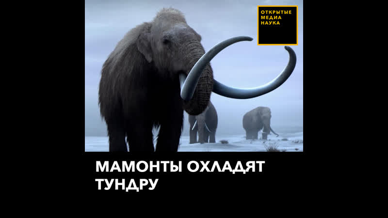 Мамонты охладят тундру