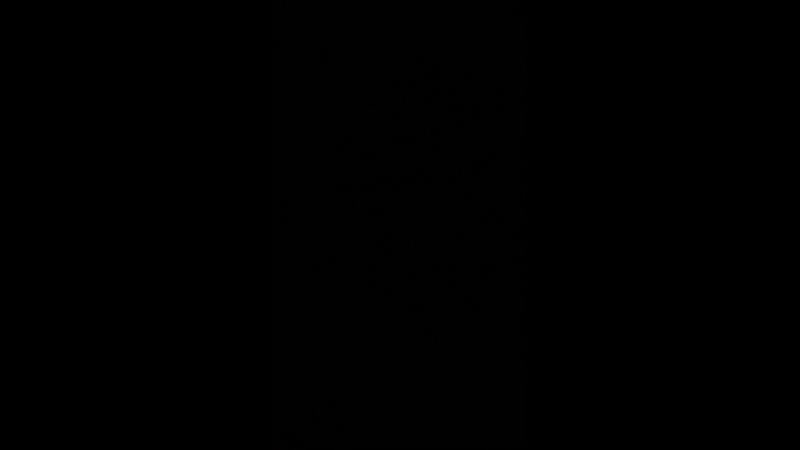 Live важный расписной павлин