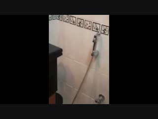 Котейка хочет поиграть