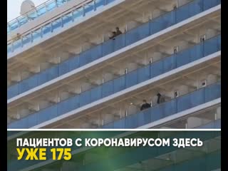 Коронавирус на круизном лайнере diamond princess
