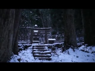 Reincarnation kenji kawai