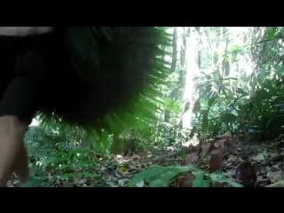 Building a primitive thatched dome hut from scratch