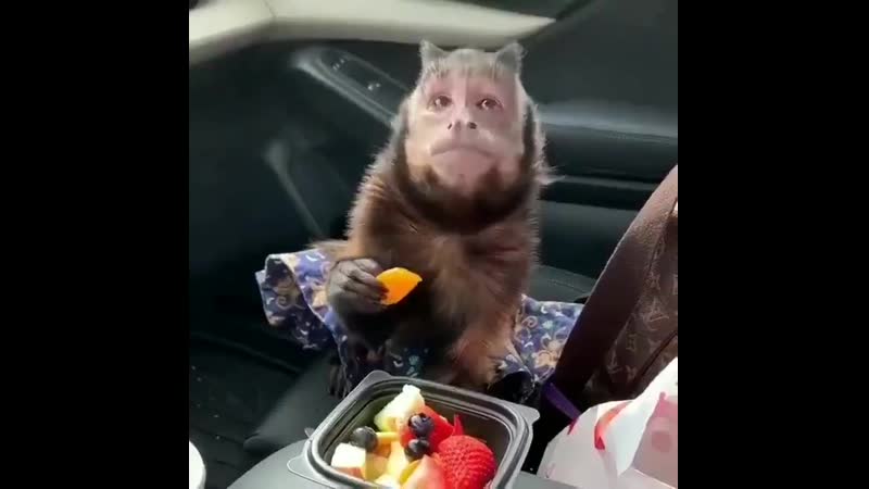 Фруктово ягодное настроение )))