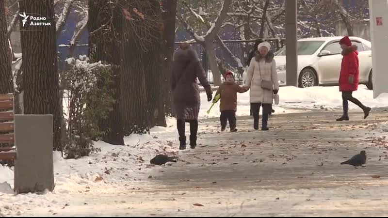 Дебошир отделается предупреждением? «ужесточение» vs «смягчение» наказания за бытовое молодые