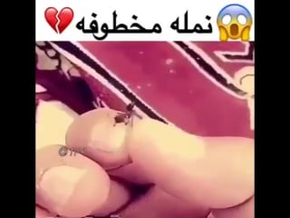 يضحك او فيني شي هههههههههههههههههههههههههههههههههه париж 20 08 2017