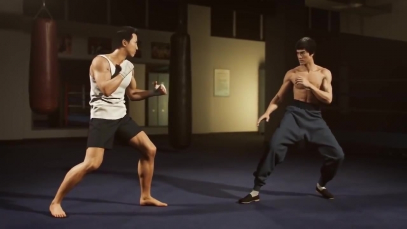 Брюс ли против ип мана