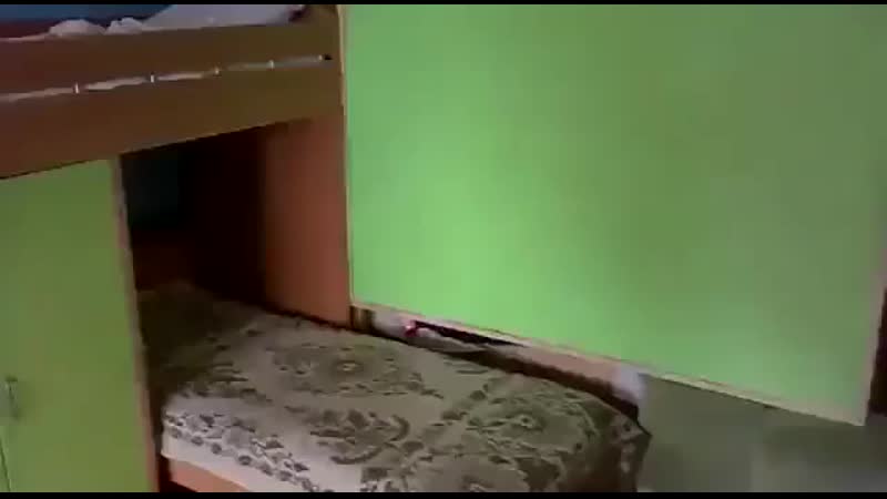 Сбор секс гей танкистов в хорошем качестве без смс и регистрации