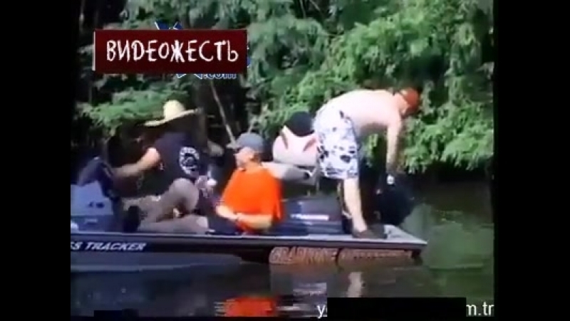 Нежданчик © видеожесть
