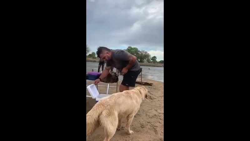 Кусь кусь, ниггу кусь