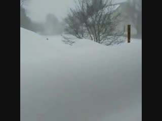 Снежок таймлапс 48 часов (vhs video)