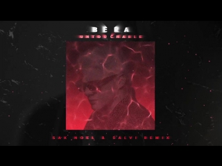 Bera untouchable (sak noel salvi remix)