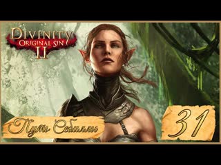 Divinity original sin ii ★ 31 побережье жнеца