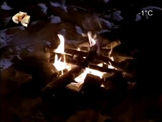 Робинзоны из беверли хиллз / beverly hills family robinson (1997) (комедия, семейный)