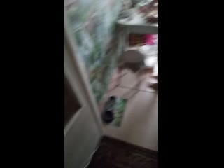 Vid 20191020 110516 mp4