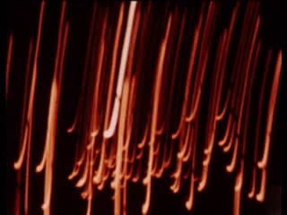 Nuestra señora de paris / our lady of paris, teo hernández, 1982