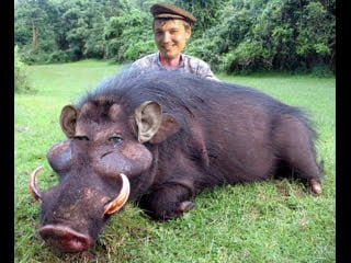 Глад валакас перевозка цистерны со спермой в г боров