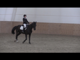 00104 шимановская олеся