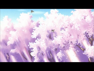 Shirokuma cafe 50 raw