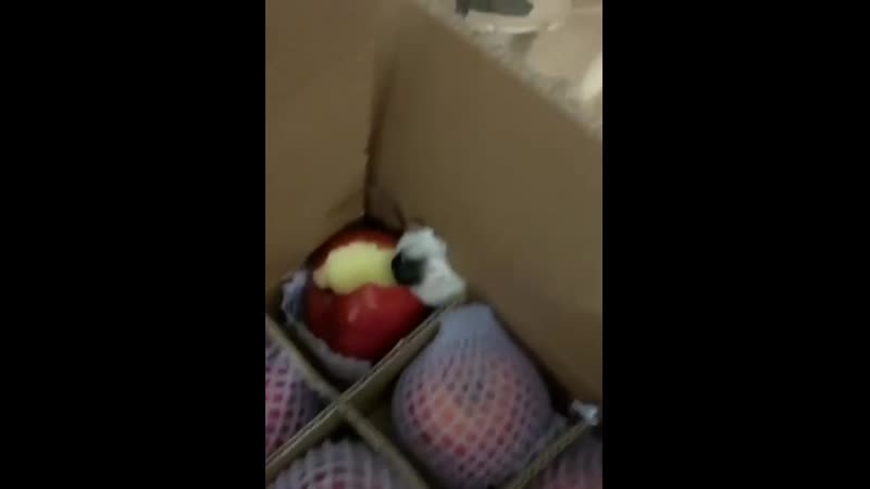 Пользуйся, пока все заняты))